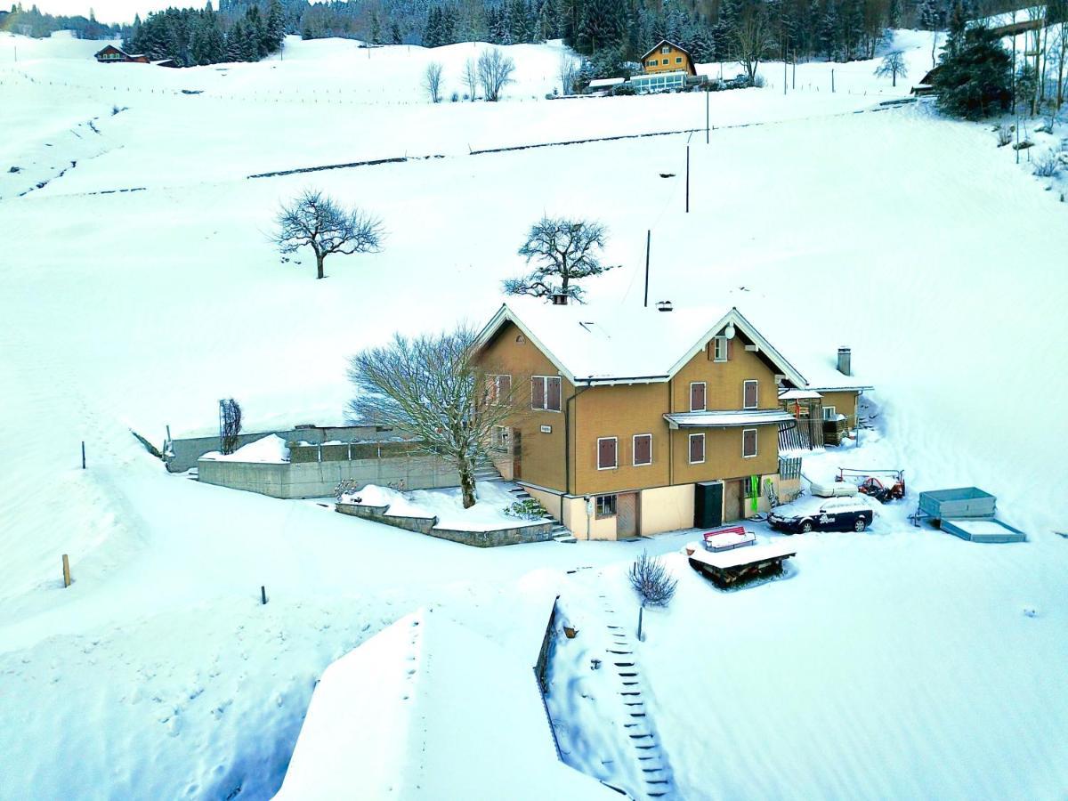 Appartement Mountain Peace In The Heart Of Switzerland à Emmetten Extérieur photo